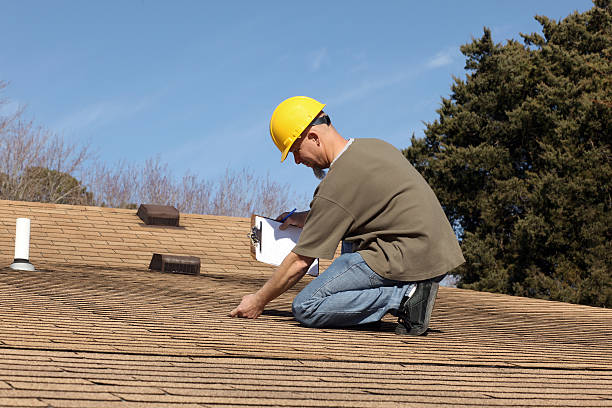 Best Roof Moss and Algae Removal  in Whitesboro, AL